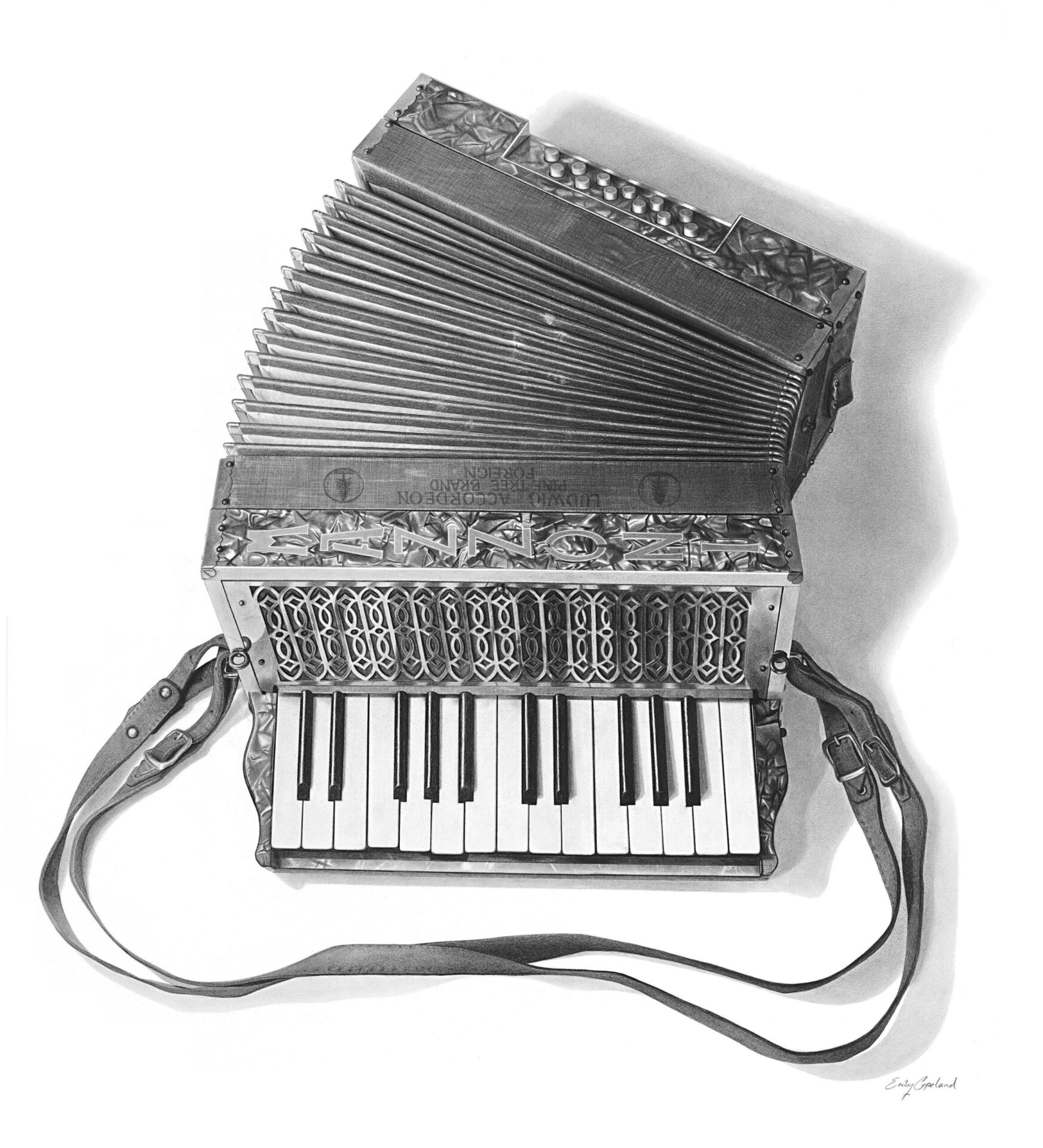 vintage-accordian